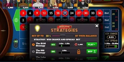 Cricash Interface Preview 1