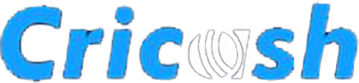 incricash Logo